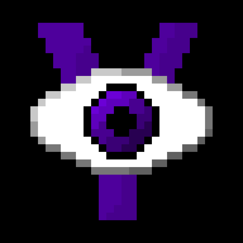 spYCTF logo